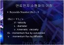 마이크로 연료전지 10페이지