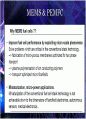 마이크로 연료전지 40페이지