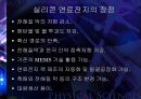 마이크로 연료전지 53페이지