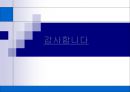 [세미나]위성통신[p30]2000 24페이지