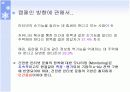 E-business의 성공요소 분석 11페이지