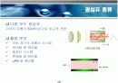 광통신 시스템 개요 10페이지