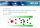 광통신 시스템 개요 11페이지