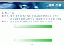 광통신 시스템 개요 12페이지