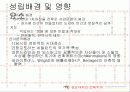 데스틸 건축과 우리나라 건축물의 예시(파주출판단지) 5페이지