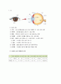 감각 기관의 구조와 기능 2페이지