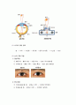 감각 기관의 구조와 기능 3페이지