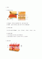 감각 기관의 구조와 기능 8페이지