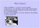 비비안 웨스트 우드(Vivienne Westwood) 4페이지