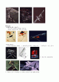 Zaha Hadid 4페이지
