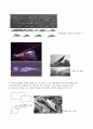 Zaha Hadid 8페이지