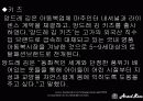 앙드레김 18페이지