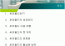 싸이월드 활성화 방안 2페이지
