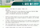 싸이월드 활성화 방안 3페이지