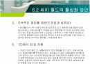 싸이월드 활성화 방안 16페이지