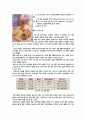 농산가공학 도넛만들기 15페이지