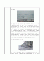 고성 상족암 답사 보고서 2페이지