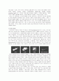 [스포츠마케팅]글로벌기업 ‘나이키’ 마케팅전략 및 성공요인 분석  23페이지