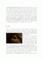 동물실험  10페이지
