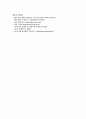 서브프라임 모기지 18페이지