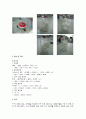 소프트 아이스크림 농산식품학 11페이지