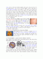 바이러스에 의한 질병 5페이지