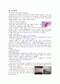 바이러스에 의한 질병 7페이지