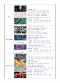 식중독 미생물의 특성 2페이지