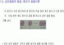 제 1장. 구조와 결합, 산과 염기  12페이지