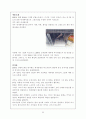 신카이마코토 작품 소개 11페이지