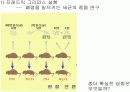 유전자의 화학적 특징 (분자생물학) PPT 3페이지