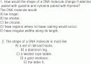 유전자의 화학적 특징 (분자생물학) PPT 20페이지