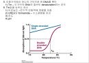 유전자의 화학적 특징 (분자생물학) PPT 24페이지
