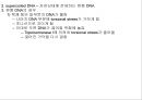 유전자의 화학적 특징 (분자생물학) PPT 29페이지