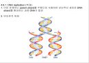 유전자의 화학적 특징 (분자생물학) PPT 32페이지