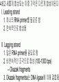 유전자의 화학적 특징 (분자생물학) PPT 40페이지