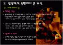 영양학적으로 바라본 와인의 효능 13페이지