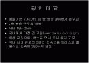 현수교에 대해서 15페이지