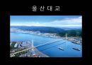 현수교에 대해서 22페이지