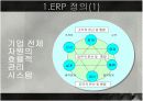 ERP에 대해서 (PPT 발표자료) 3페이지