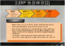 ERP에 대해서 (PPT 발표자료) 8페이지
