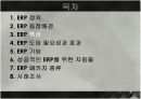ERP에 대해서 (PPT 발표자료) 12페이지