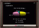 [마케팅원론] LG 엑스캔버스 TV 마케팅 전략 분석 ['A+레포트'] 10페이지