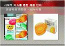 [마케팅원론] '힌두스탄 레버'의 저가 시장 마케팅 전략 분석  12페이지