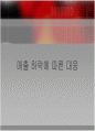 [마케팅원론] '힌두스탄 레버'의 저가 시장 마케팅 전략 분석  30페이지