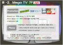 [e비즈니스]IPTV시장 현황분석 및 메가TV vs SK브로드밴드 마케팅전략 비교분석 (A+리포트) 18페이지
