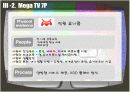 [e비즈니스]IPTV시장 현황분석 및 메가TV vs SK브로드밴드 마케팅전략 비교분석 (A+리포트) 19페이지