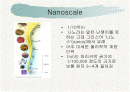 [무기화학실험]Synthesis of gold nanoparticles 2페이지