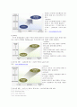 [경영학원론]SK텔레콤의 신가치경영과 경영사례 조사분석 (A+리포트) 6페이지