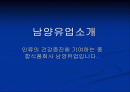 남양유업 기업분석 2페이지